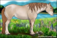 Horse Color:Smoky Black Pearl 