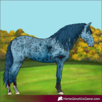 Horse Color:ERROR: UNKNOWN ANOMALY