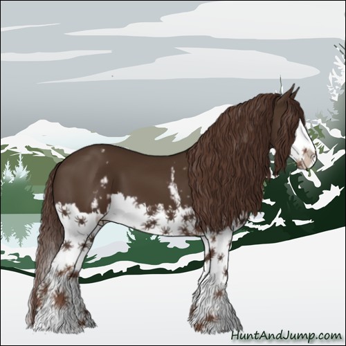 Horse Color:White Spotted Liver Chestnut Splash 