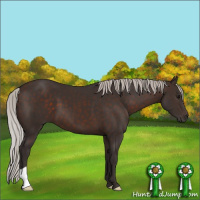 Horse Color:Silver Brown 