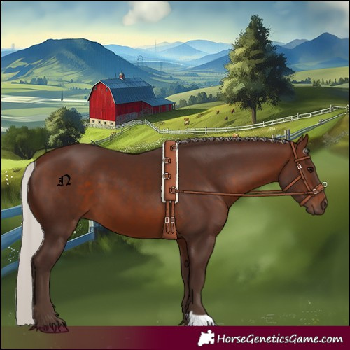 Horse Color:Silver Brown 