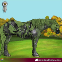 Horse Color:ERROR: UNKNOWN ANOMALY