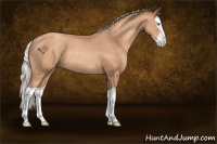 Horse Color:Silver Amber Champagne Splash Rabicano 