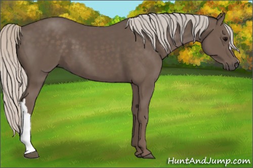 Horse Color:Silver Black 