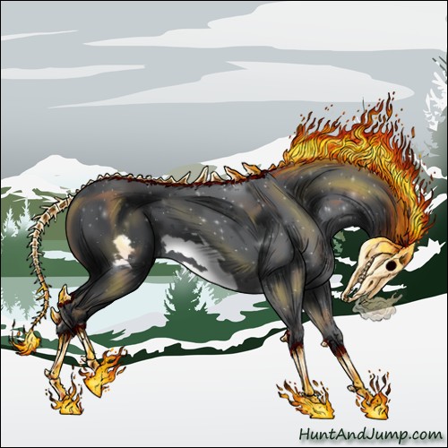 Horse Color:Silver Black Chinchilla Frame 