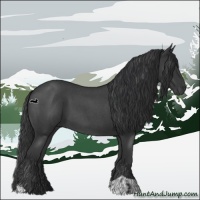 Horse Color:Blue Roan  and Blue Roan 