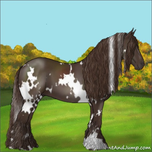 Horse Color:White Spotted Liver Chestnut 