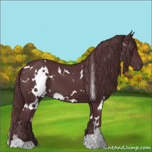 Horse Color:White Spotted Chocolate Black