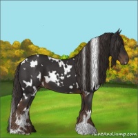 Horse Color:White Spotted Liver Chestnut 