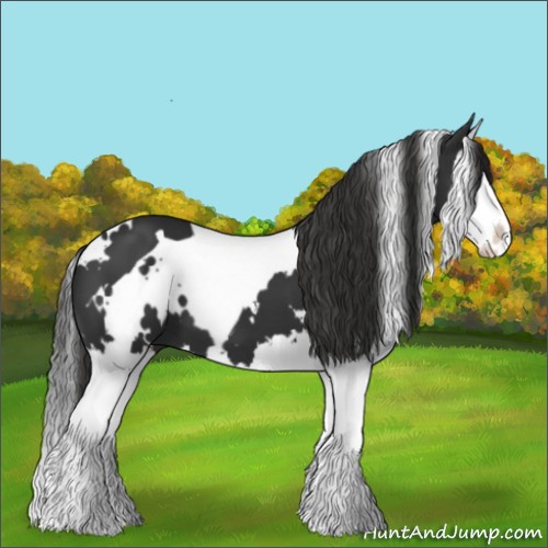 Horse Color:White Spotted Liver Chestnut Splash 