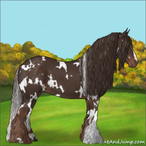 Horse Color:White Spotted Liver Chestnut 