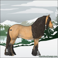 Horse Color:Buckskin Roan 