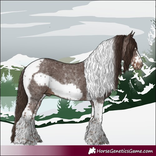 Horse Color:Liver Chestnut Sabino Tobiano Frame 
