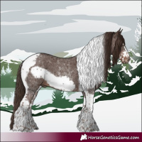 Horse Color:Liver Chestnut Sabino Tobiano Frame 
