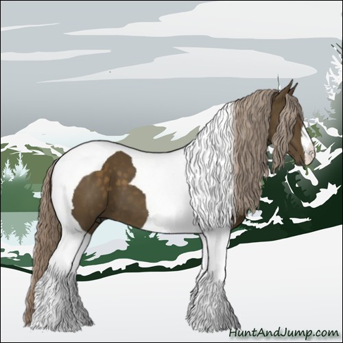 Horse Color:Chocolate Palomino Tobiano 
