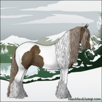 Horse Color:Chocolate Palomino Tobiano 