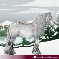 Horse Color:Silver Bay Chinchilla Tobiano 