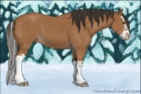 Horse Color:Bay Splash 