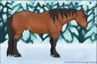 Horse Color:Bay Sabino Rabicano 