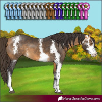 Horse Color:Buckskin Sabino 