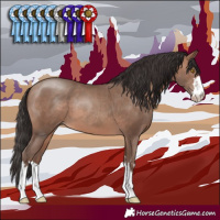 Horse Color:Sable Champagne