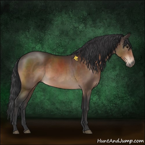 Horse Color:Brown Rabicano 