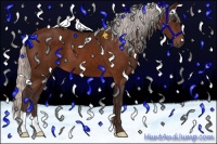 Horse Color:Silver Bay