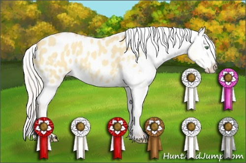 Horse Color:Silver Classic Cream Champagne Dun Appaloosa 