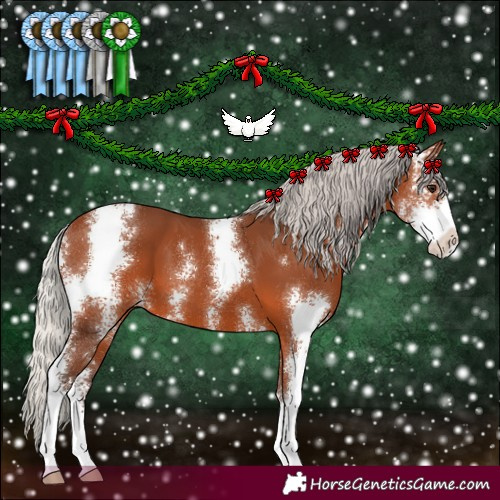 Horse Color:Silver Brown Sabino 