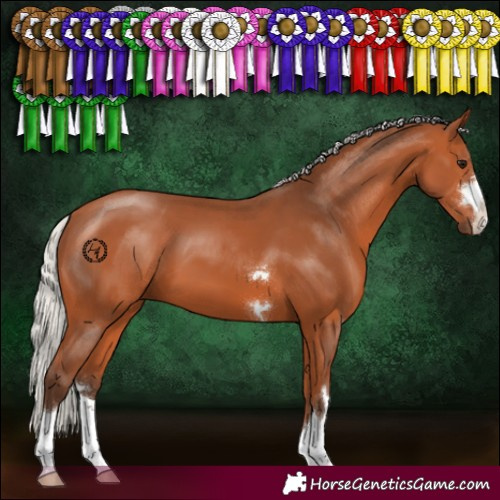 Horse Color:Silver Bay 
