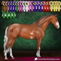 Horse Color:Silver Bay 