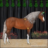 Horse Color:Silver Brown 