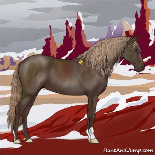 Horse Color:Liver Chestnut 
