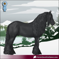 Horse Color:Black Chinchilla 