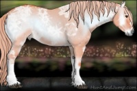 Horse Color:Watercolor Red Dun Ice Onyx