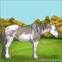 Horse Color:White Spotted Bay Tobiano Frame Snowcap 