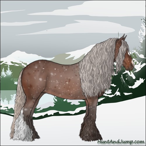 Horse Color:Silver Brown 