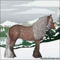 Horse Color:Silver Brown 