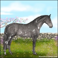 Horse Color:Platinum White Spotted Chocolate Palomino 