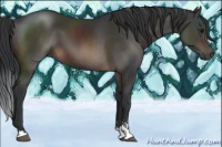 Horse Color:Brown Sabino 
