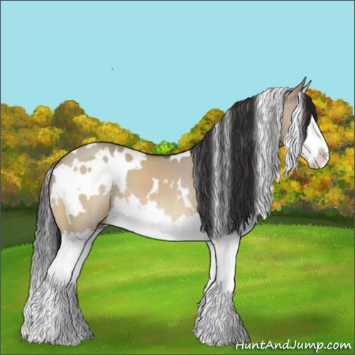 Horse Color:White Spotted Bay Dun Splash 
