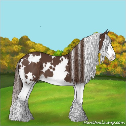 Horse Color:White Spotted Liver Chestnut Splash 