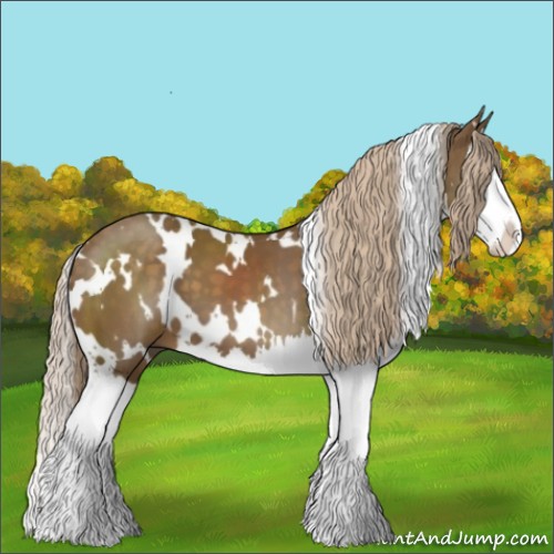 Horse Color:White Spotted Chocolate Palomino Splash 