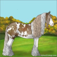 Horse Color:White Spotted Chocolate Palomino Splash 