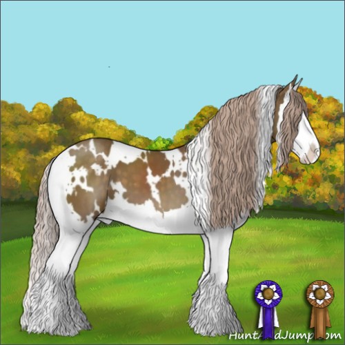 Horse Color:White Spotted Chocolate Palomino Splash 