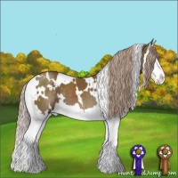 Horse Color:White Spotted Chocolate Palomino Splash