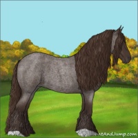 Horse Color:Liver Red Roan 