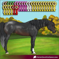 Horse Color:Brown 