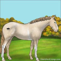 Horse Color:White Spotted Smoky Black Pearl 