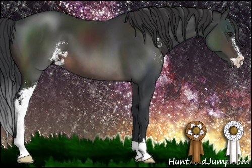 Horse Color:Brown Sabino 